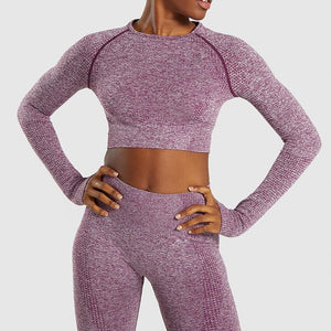 Yoga Set and Gym Clothing With Leggings Cropped Shirts Sport Suit - Wine Red